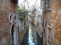 Venecia en 4 días - Blogs de Italia - Venecia en 4 días (135)